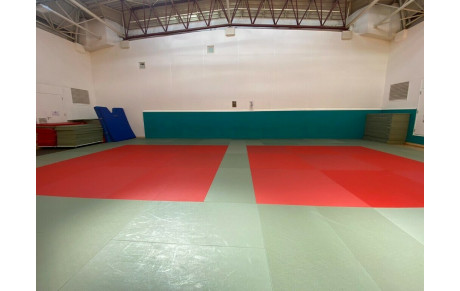 Photos des Dojos en ligne