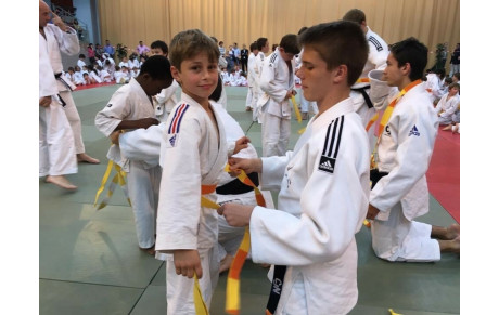 Remise des ceintures 2019/2020